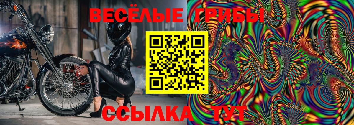 Псилоцибиновые грибы прущие грибы  Вход с VPN  как найти   Елизово 