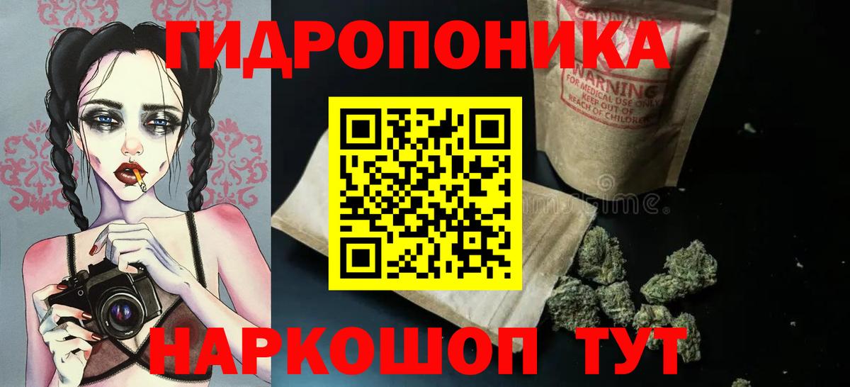Бошки Шишки THC 21% Елизово